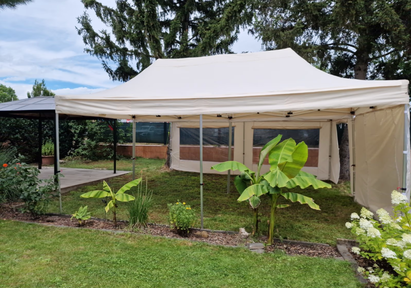 3x6 Faltzelt kombiniert Ein großes, weißes Zelt steht in einem Garten mit grüner Vegetation und Bäumen.